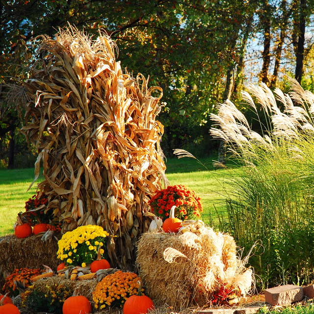 Rustic Hay Bale and Cornstalk Display